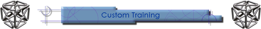 Custom Training